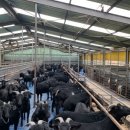 초방리 농장 이미지