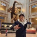 디디디아이 이미지