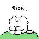 홍대클럽노래연습장 이미지