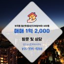 월산공인중개사사무소 이미지