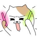 위즈레슬링 이미지