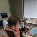 진도 카멜리아 힐즈 오토캠핑장 네이버블로그