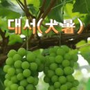 버텨내다보면 단단해지고 이미지