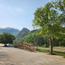 회귀-모정 이미지