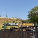 댕댕이네 | 천안 무료 애견놀이터 백석동 반려견 놀이터에서 뛰뛰하고 온 후기