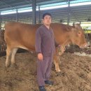 축협수퍼 이미지