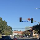 MILO GYM | [12.24-1.2] 미국 LA여행 8박10일 DAY4 | 골드짐, Milo&amp;Olive, 에러헌, 레이크할리우드파크 할리우드...