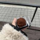 썬마이야르