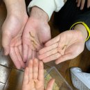 지산초등 병설 | [초등학교 진로체험] 부산 모덕초등학교에 곤충 진로 직업인 교육 다녀왔습니다. (2)