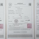 공인 대한 번역행정사 이미지