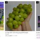 송산포도로 네이버블로그
