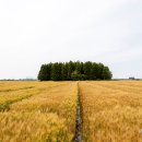 말랭이마을 추억사진관2 이미지