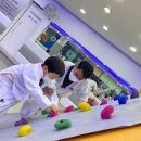 용인대 지노태권도 이미지