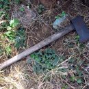 해맑은농장 이미지