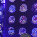 진보퍼피 이미지