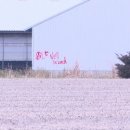 해방농장 이미지