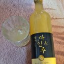 현대서산영농조합법인 | 고급스러운 대마막걸리 대마영농조합 마인주 후기