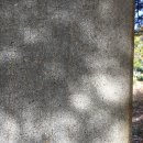 유석선생묘 및 신도비 이미지