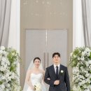 앳스냅 | 2026 엘마리노 앳 인천_셀린스냅 본식스냅 후기