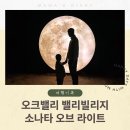 소나타 | 원주 오크밸리 소나타오브라이트 후기｜아이랑 가기 좋은 조명전시 &amp; 포토존 BEST