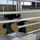 팔미농장 이미지