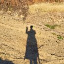 마실한바꾸 이미지