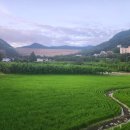 밀양수영장가족쏠마레펜션 이미지