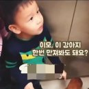 강아지 이모 이미지