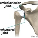 이에스짐 이미지