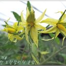 이영선농장 이미지