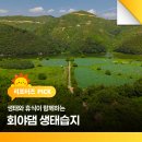 생태습지 | 생태와 휴식이 함께하는 회야댐 생태습지 방문 후기