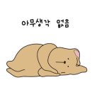 카카오풋앤바디 이미지