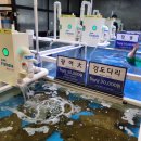 어시장활어회직거래판매장 네이버블로그