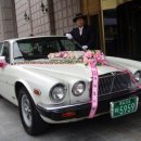 부부댄스스포츠 이미지