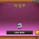 N103 이미지