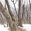 광덕1로11 이미지