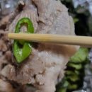 참갈매기뽈살 이미지