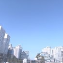 세진공인중개사무소 | 부동산 고민 끝! [배곧부동산 강남공인중개사무소] 솔직 방문 후기🙌🏠 (배곧상가·아파트 찾다가 발견한...