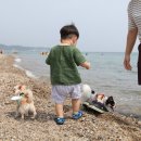 토박이매점회식당 이미지