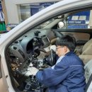 성남점 현대자동차 이미지