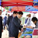 장안산 봄나물 축제 이미지