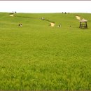 윤용하 농장 이미지