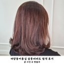 씨유 익산자이 | 어양동미용실 살롱비비드에서 뿌리염색으로 기분전환