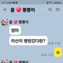 고3 딸이랑 카톡~~ 이미지