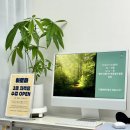 행복아로마 - 익산시 서동로 115 | 안양아로마클래스 리리브이 아로마 DIY 힐링 후기