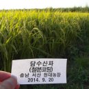 현대 농장 이미지