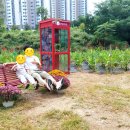 탄천 엑스파크공원 이미지