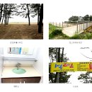 캠핑나들이 2015년 6월 20일 정캠공지. 이미지