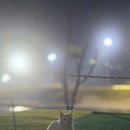 블랙스톤 스크린골프 | 골린이 _ 2년하고 11개월 차, 25년 올해 4번의 야간 라운딩 !