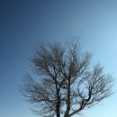 머리목장 이미지